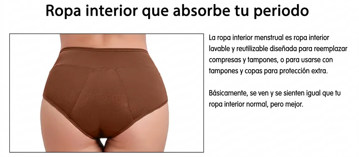 Braguitas Menstruales Reutilizables: Máxima Absorción y Comodidad sin Fugas